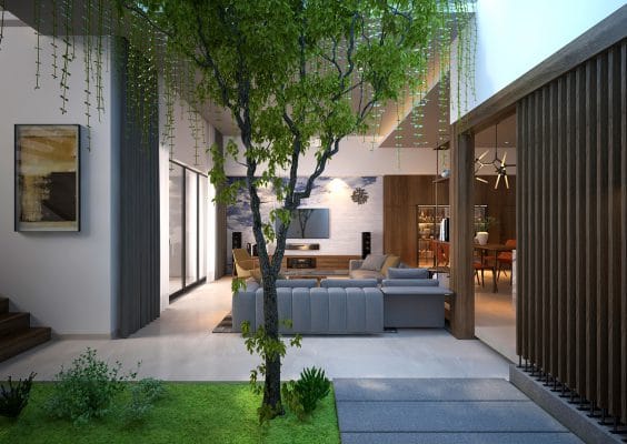 trang trí giếng trời nhà ống