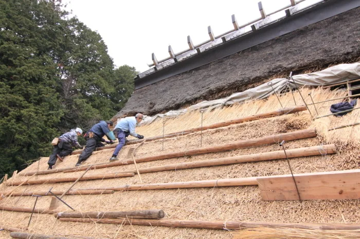 xây nhà kiểu nhật ở việt nam