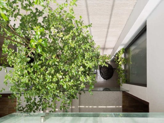 thiết kế nhà đẹp lệch tầng