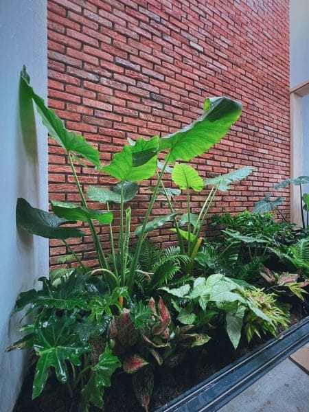 thiết kế nhà hiện đại