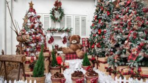 Cây thông noel