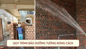 Quy trình bảo dưỡng tường đúng cách