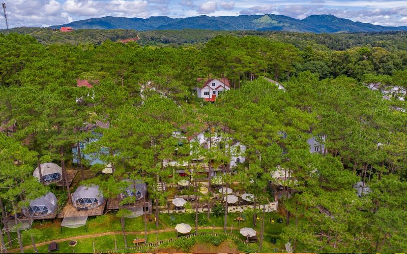 Homestay kết hợp quán cà phê