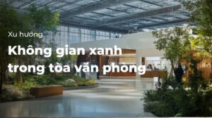 Không gian xanh trong tòa văn phòng