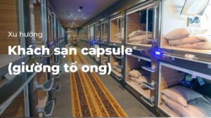 Xu hướng khách sạn capsule (giường tổ ong)