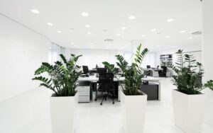 Thiết kế tối giản nhưng tinh tế