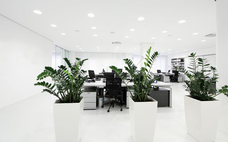 Thiết kế tối giản nhưng tinh tế