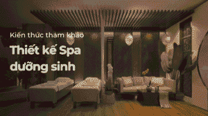 Thiết kế spa dưỡng sinh tai Đà Nẵng