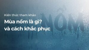 Mùa nồm là gì?