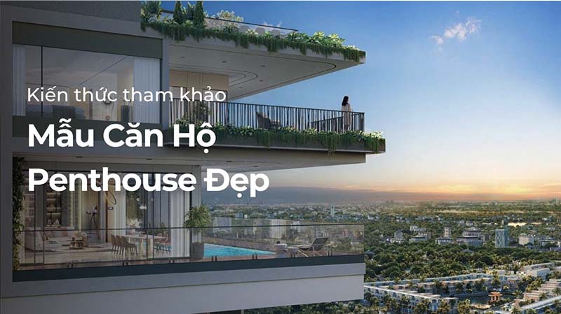 Mẫu Căn Hộ Penthouse Đẹp: Đỉnh Cao Kiến Trúc Thượng Lưu